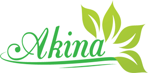 CÔNG TY TNHH AKINA VIỆT NAM